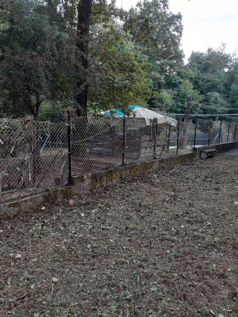 GATTICO-VERUNO  - VERUNO - Vendita